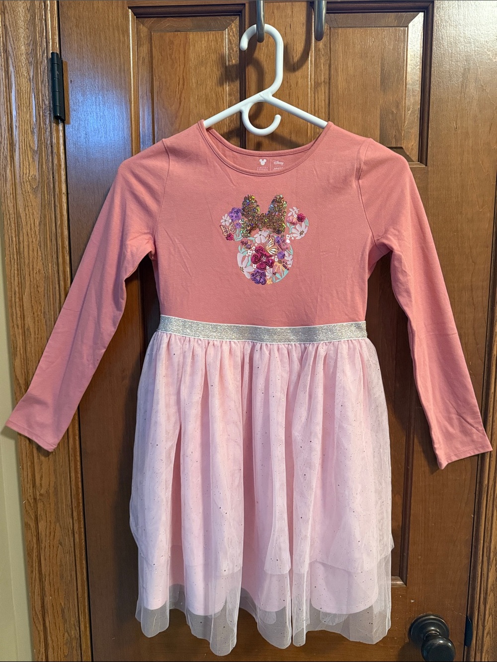 Disney Jumping Beans Pink Floral Minnie Mouse Tulle Dress with Gold Waistband